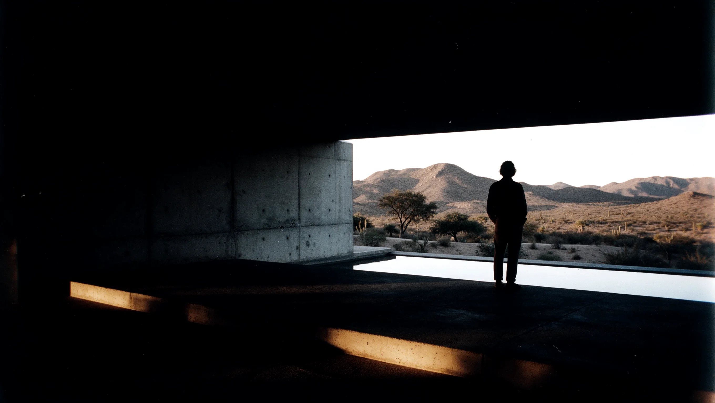 Persona de espaldas mirando el desierto al atardecer, tranquila